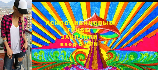 амф Богородск