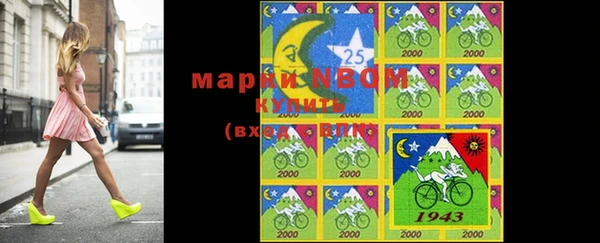 прущий лед Богданович